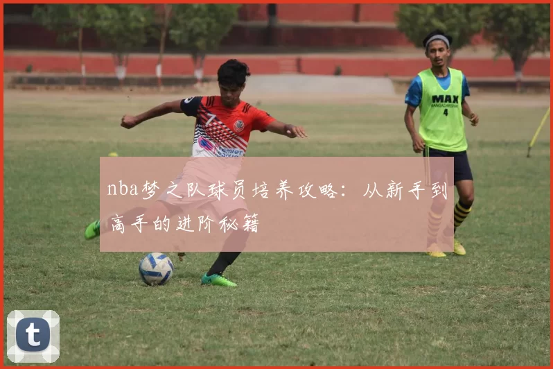 nba梦之队球员培养攻略：从新手到高手的进阶秘籍