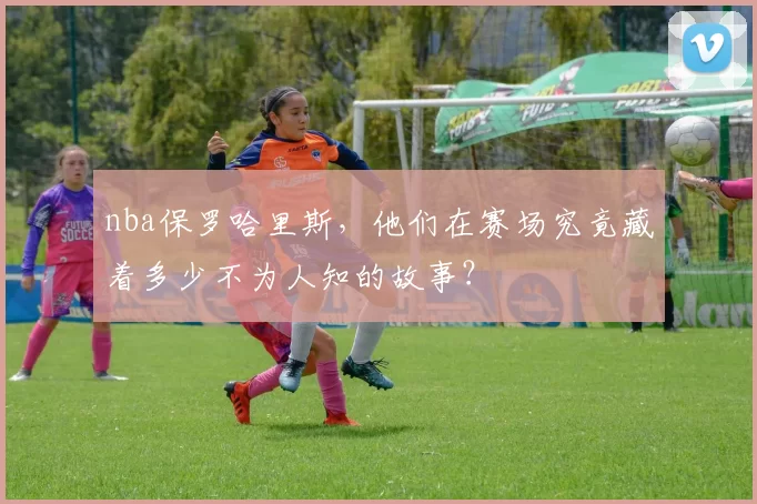 nba保罗哈里斯，他们在赛场究竟藏着多少不为人知的故事？