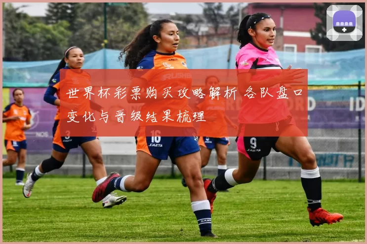 世界杯彩票购买攻略解析 各队盘口变化与晋级结果梳理