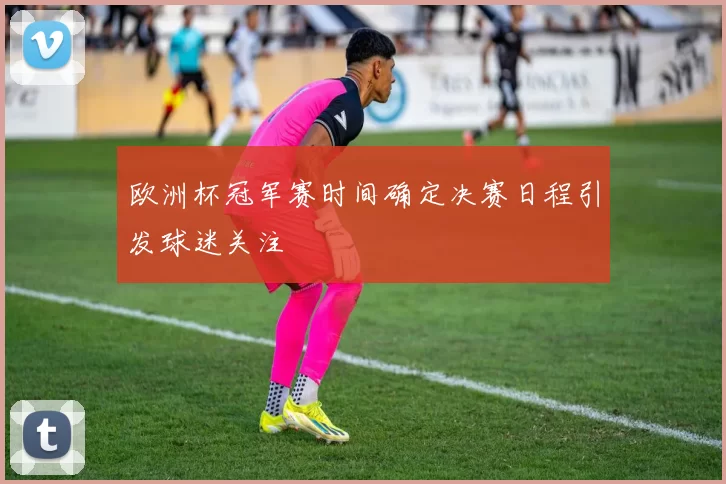 欧洲杯冠军赛时间确定决赛日程引发球迷关注