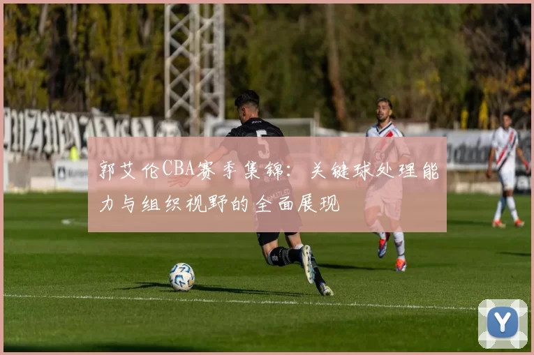 郭艾伦CBA赛季集锦：关键球处理能力与组织视野的全面展现